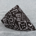 Adjustable Pet Bandana Neck Scarf Collar
