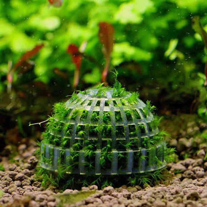 Aquarium Moss Ball Decoration