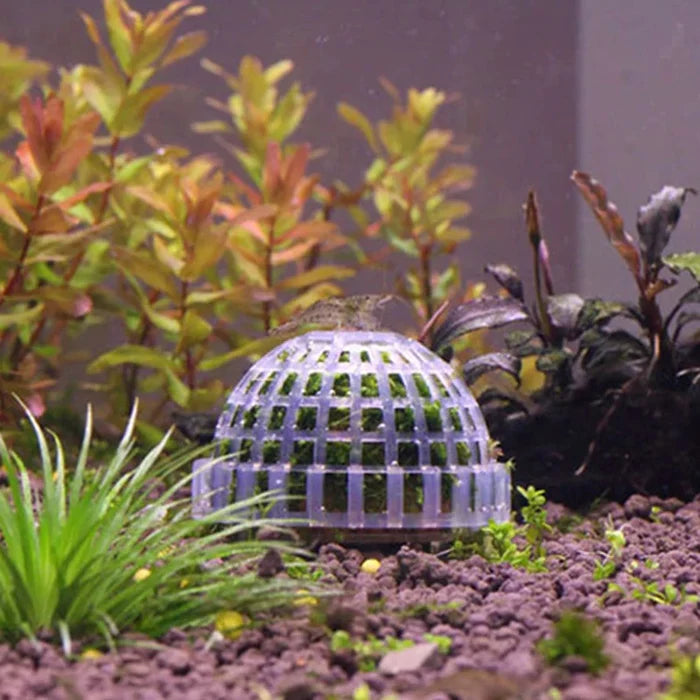 Aquarium Moss Ball Decoration