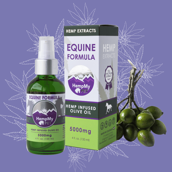 CBD for Horses and Large Dogs | Cannabidiol for Horses