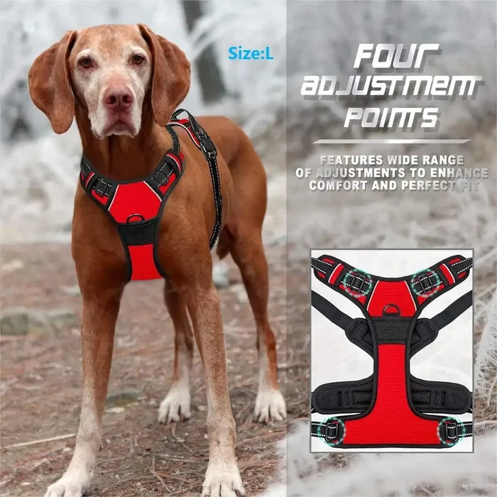Comfort-Fit Dog Vest Harness