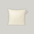 Cushion insert 60x60 cm