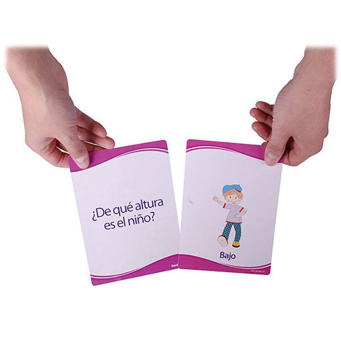 Dactic •  "Flash cards" - Conceptos