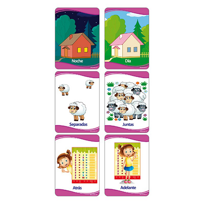 Dactic •  "Flash cards" - Conceptos