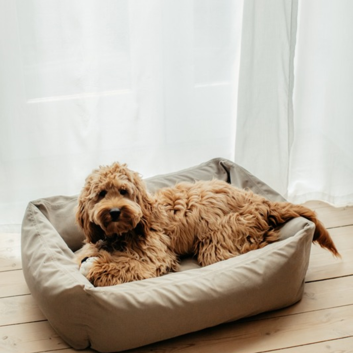 Dog Bed Soft Grey Medium