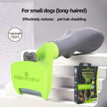 LongHaired Dog S