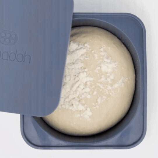 Dough Proofing Containers (Classic - 250g dough ball)