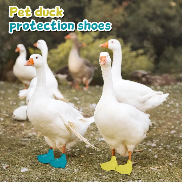 Duck & Goose Protective Shoes
