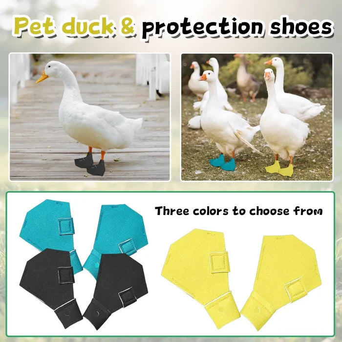 Duck & Goose Protective Shoes