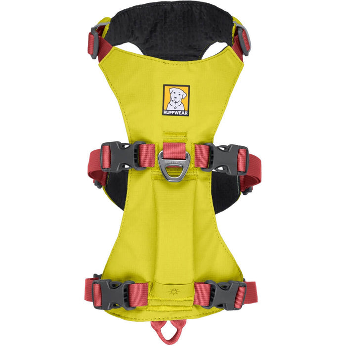 Flagline Harness with Handle