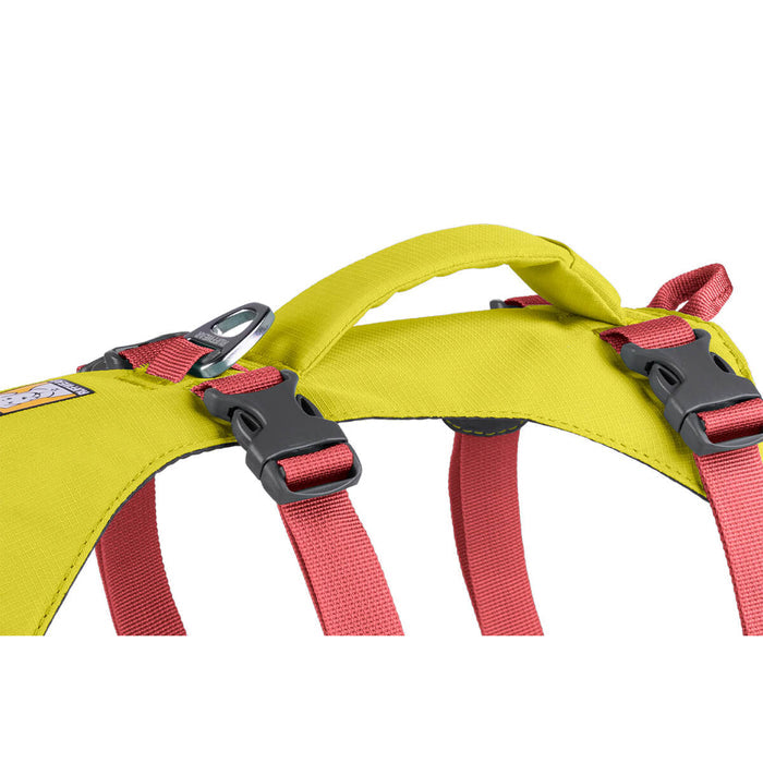 Flagline Harness with Handle