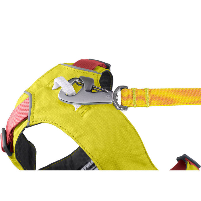 Flagline Harness with Handle