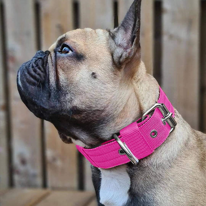 Foam Nylon Pet Collar Bandana Accessory