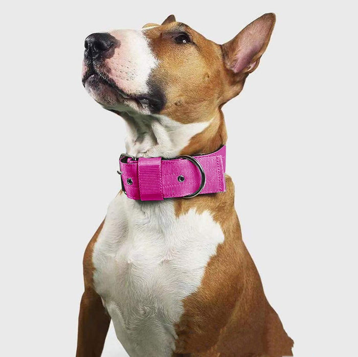 Foam Nylon Pet Collar Bandana Accessory