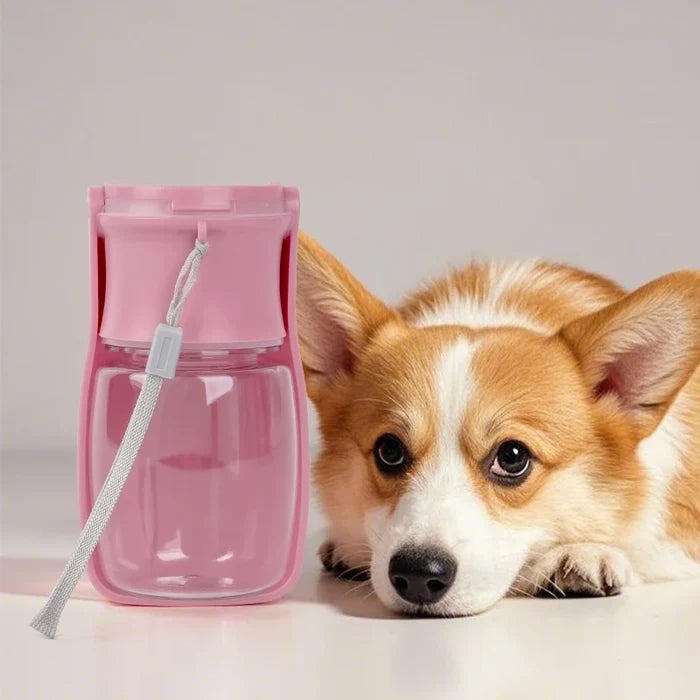 Foldable Pet Travel Water Cup