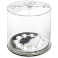 Luci Original Clear Lantern