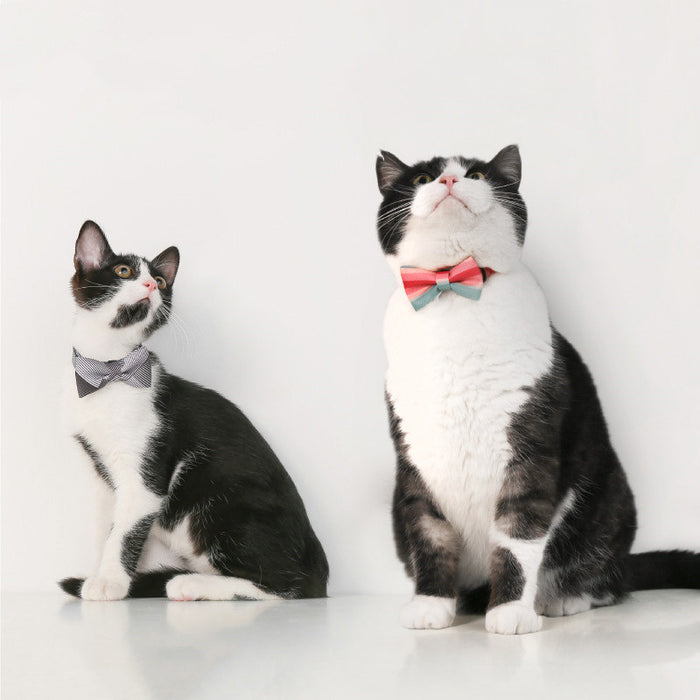 Pet Bow Tie Collar Accessory