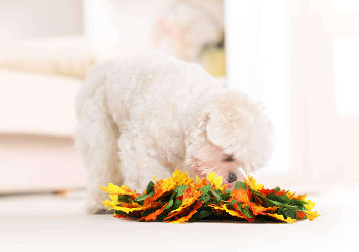 Pet Jungle Feeding Mat Washable