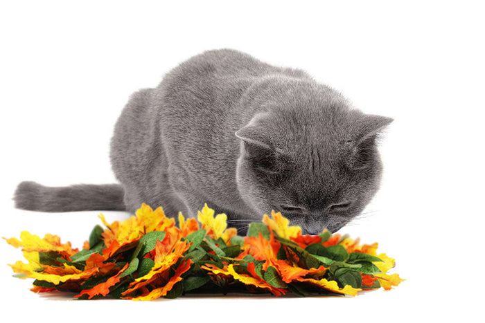 Pet Jungle Feeding Mat Washable