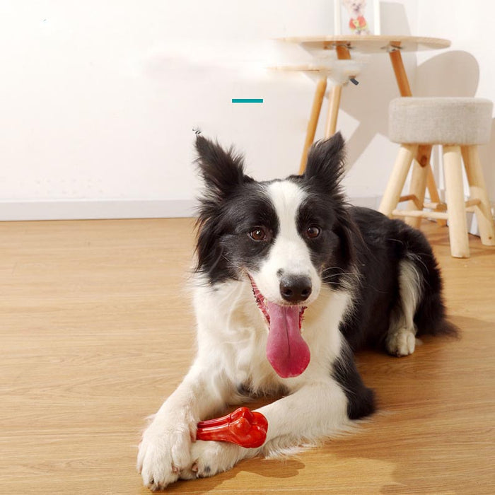Pet Toy Chew Resistant Dog Molar Stick