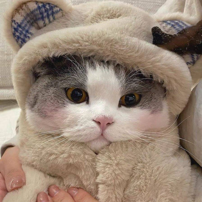 Plush Cloak Clothes Cute Bear Blanket Autumn And Winter Warm Pad