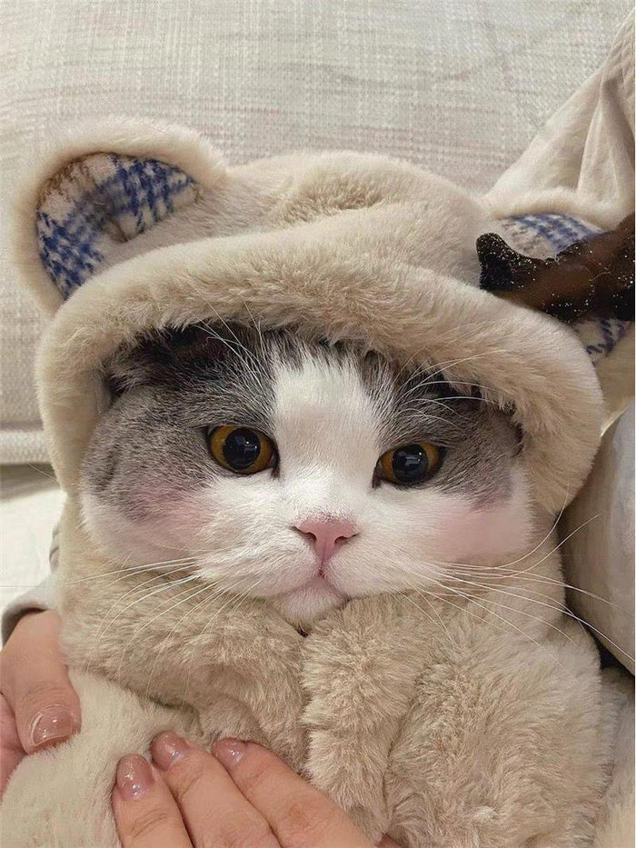 Plush Cloak Clothes Cute Bear Blanket Autumn And Winter Warm Pad
