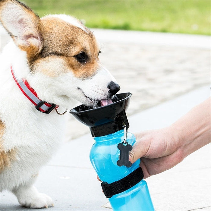Portable Water Bottle For Cats Going Out