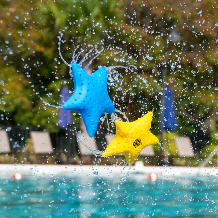 Rainstorm - Starfish Series