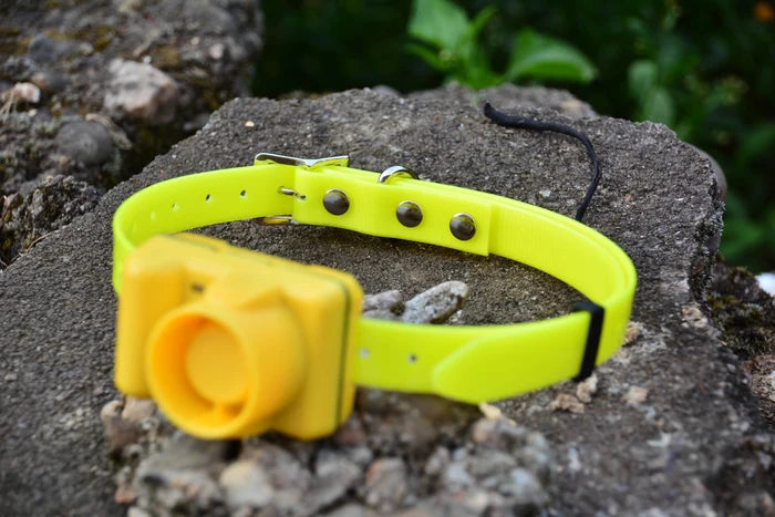 Remote Dog Training Collar