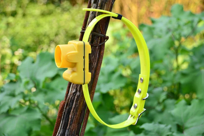 Remote Dog Training Collar