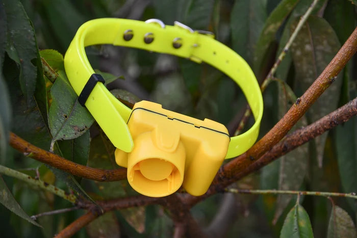 Remote Dog Training Collar