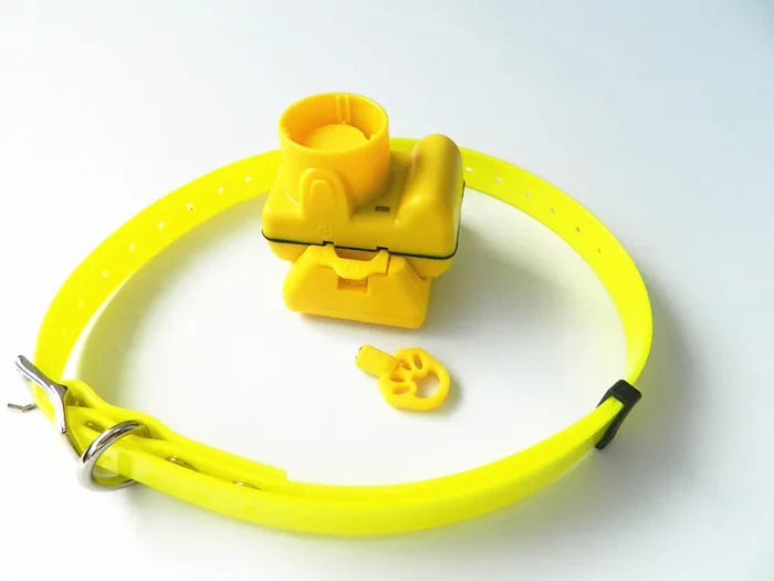 Remote Dog Training Collar