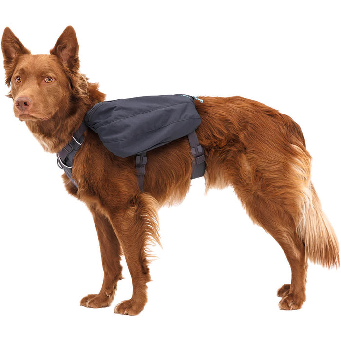 Ruffwear Front Range Dog Day Pack
