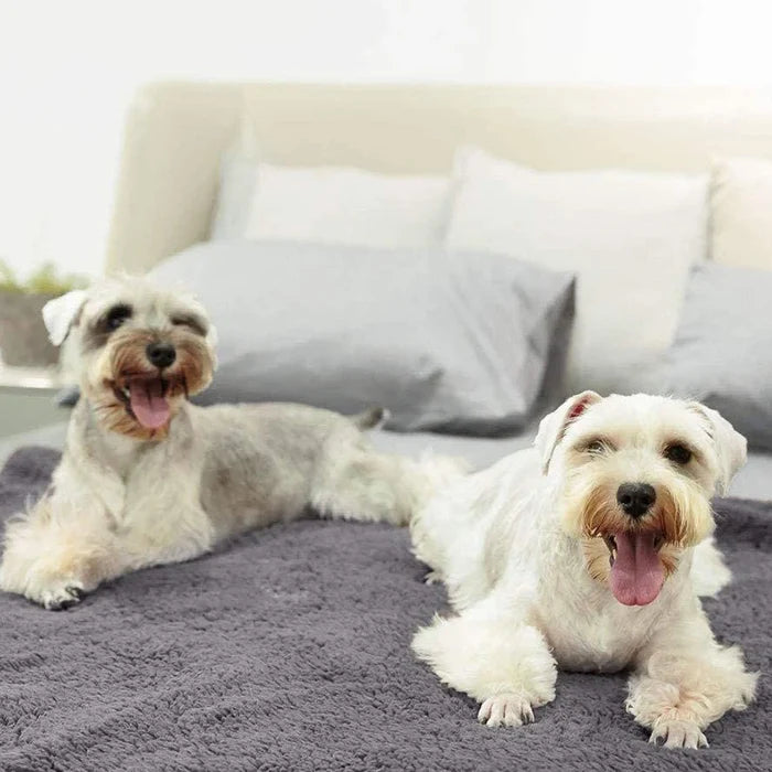 Soft Velvet Dog & Cat Blanket