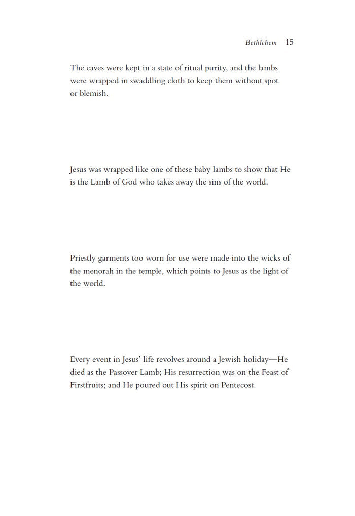 The Rock, the Road, and the Rabbi: My Journey into the Heart of Scriptural Faith and the Land Where It All Began