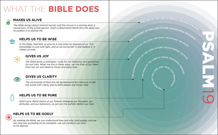 Visual Theology: Seeing and Understanding the Truth About God